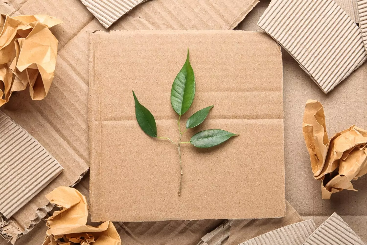 sustainable_packaging-2